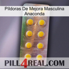 Píldoras De Mejora Masculina Anaconda new11